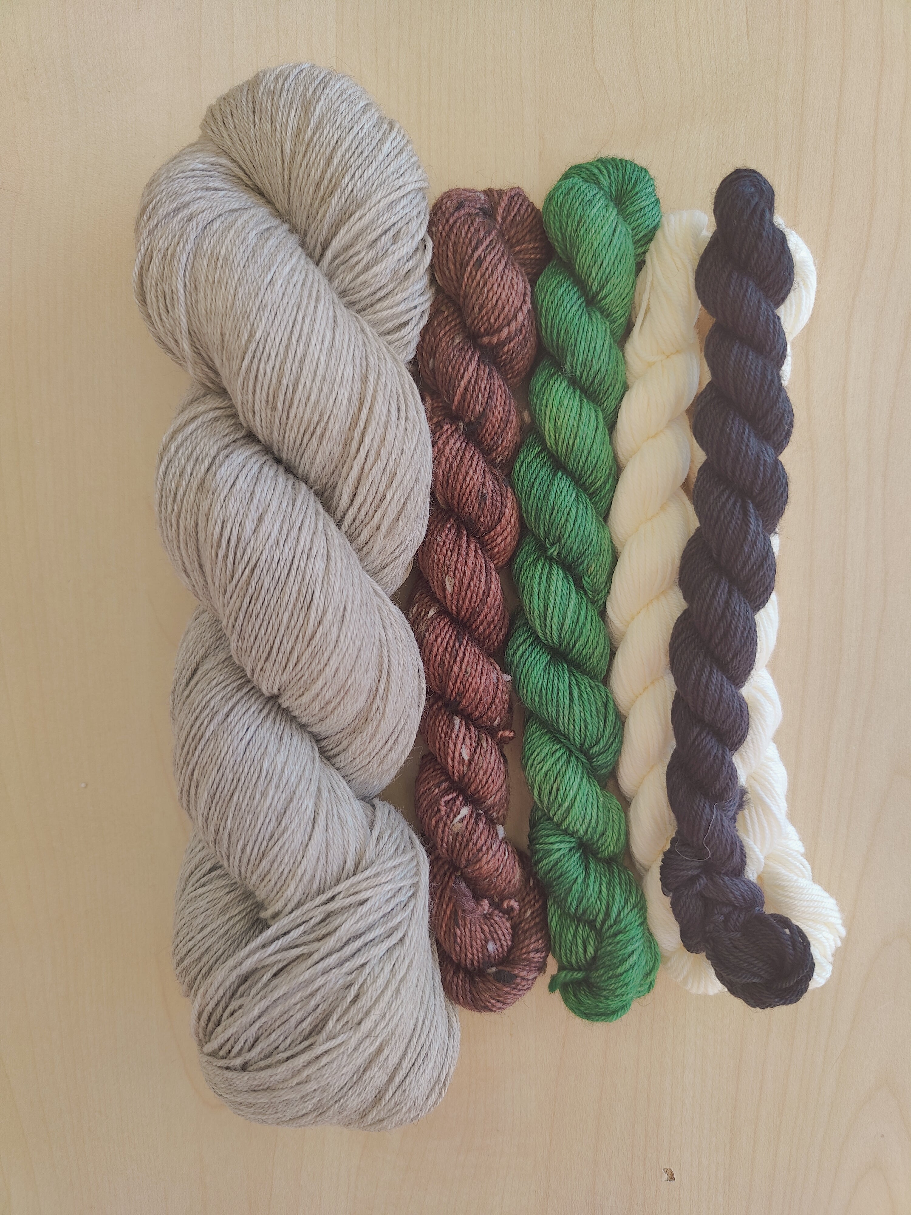 Sock Club YOTM Yarn