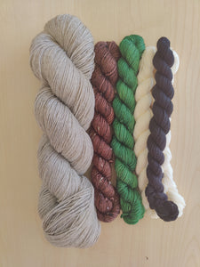 Sock Club YOTM Yarn